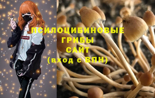 мяу мяу мука Алексин