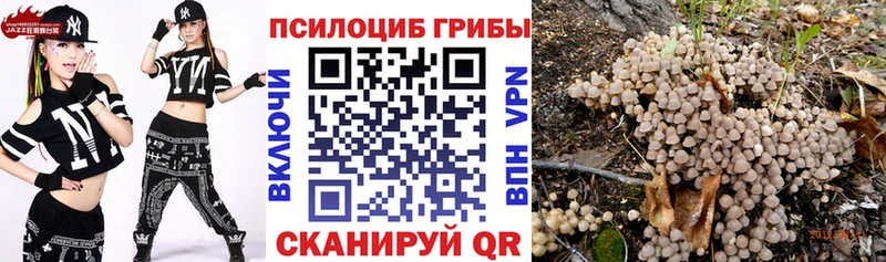 Галлюциногенные грибы Magic Shrooms  Купить закладки  Балашов 